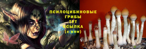 Альфа ПВП Алзамай